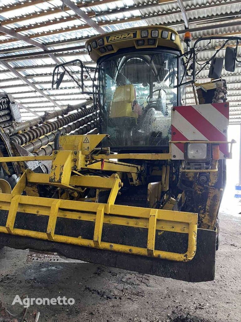 Ropa euro-Maus beet harvester